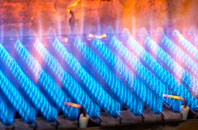 Braepark gas fired boilers